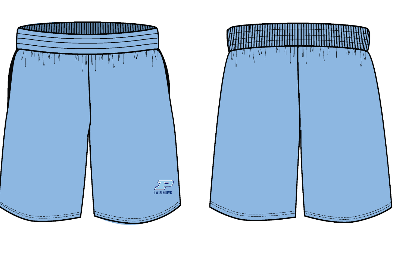 Palmetto shorts mens light blue