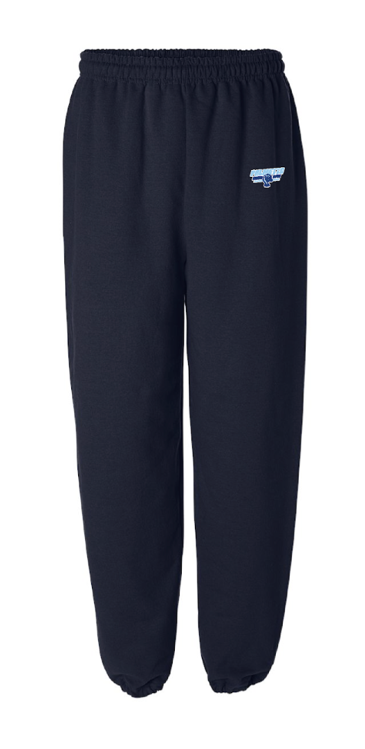 Palmetto sweatpants Navy