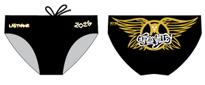 CUSTOM CVHS BRIEF