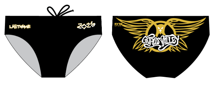CUSTOM CVHS BRIEF