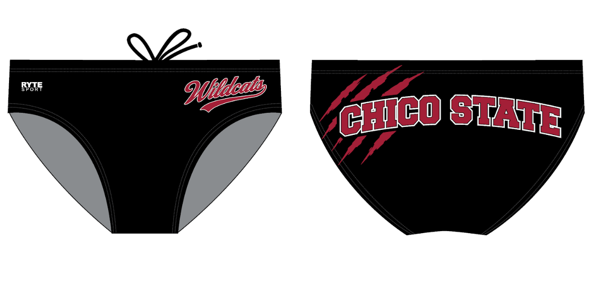 CHICO STATE BRIEF 2026