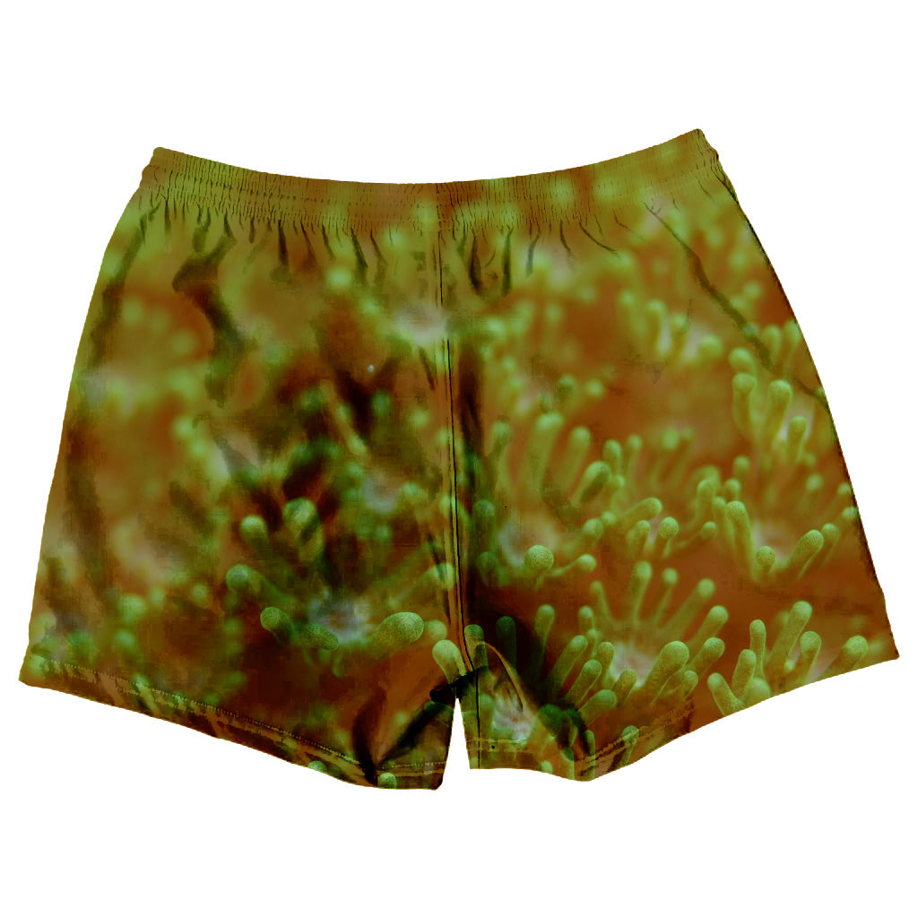 Men's Coral Swim Shorts RYTE Sport