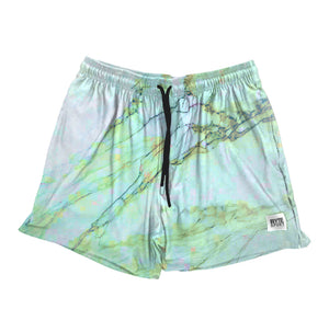 Men's Marble Blue Swim Shorts RYTE Sport