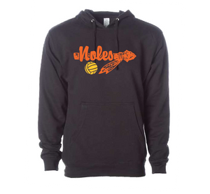 Seminole High School Hoodie - Black RYTE Sport