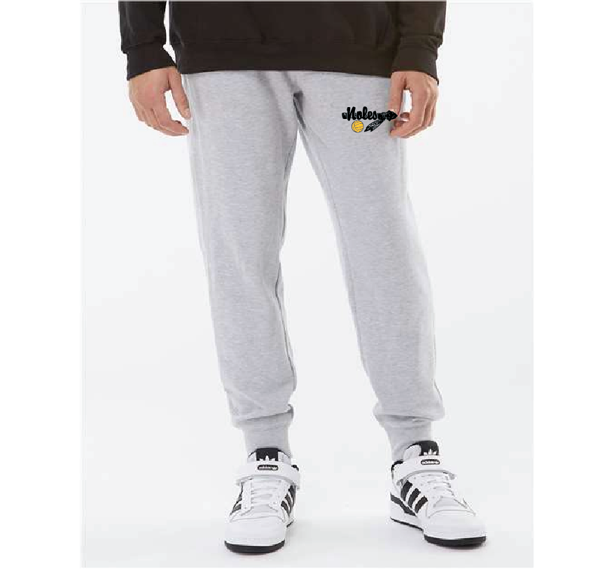 Seminole High School Jogger - Heather Gray RYTE Sport